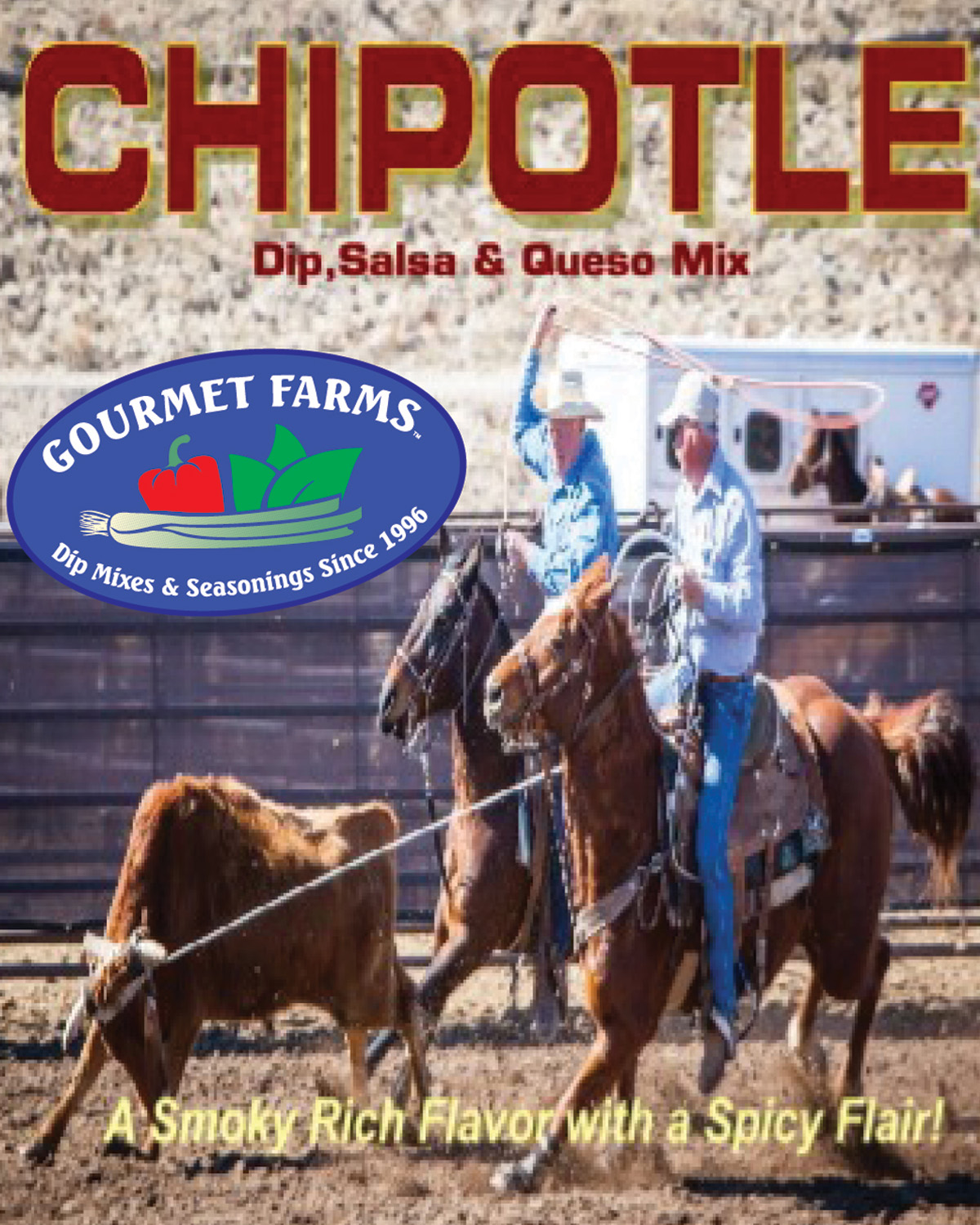 Chipotle Salsa & Queso Dip Mix