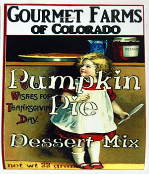Pumpkin Pie Fruit Dip & Cheeseball Mix