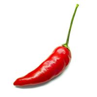 spicy and flavorful salsa and queso best dips from Gourmet Farms of Colorado