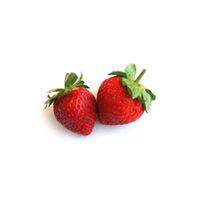 Crowd-Pleasing Recipes in our Dessert and Fruit Dip Mixes from Gourmet Farms of Colorado